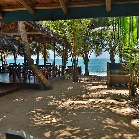 Panorama Rock Cafe Bed and Breakfast Tangalle Exteriör bild