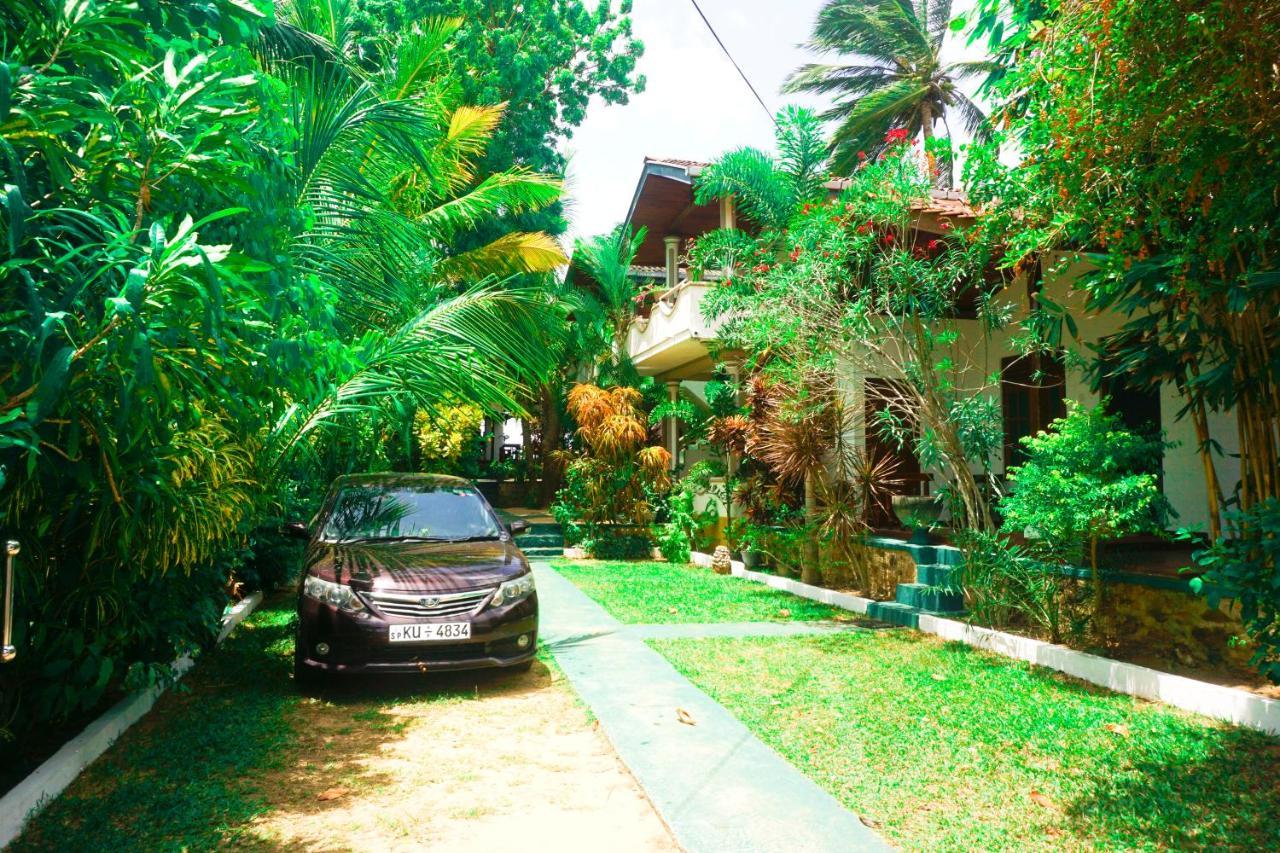 Panorama Rock Cafe Bed and Breakfast Tangalle Exteriör bild