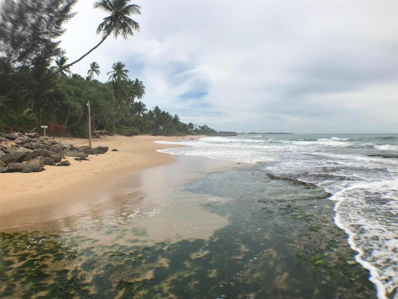 Panorama Rock Cafe Bed and Breakfast Tangalle Exteriör bild